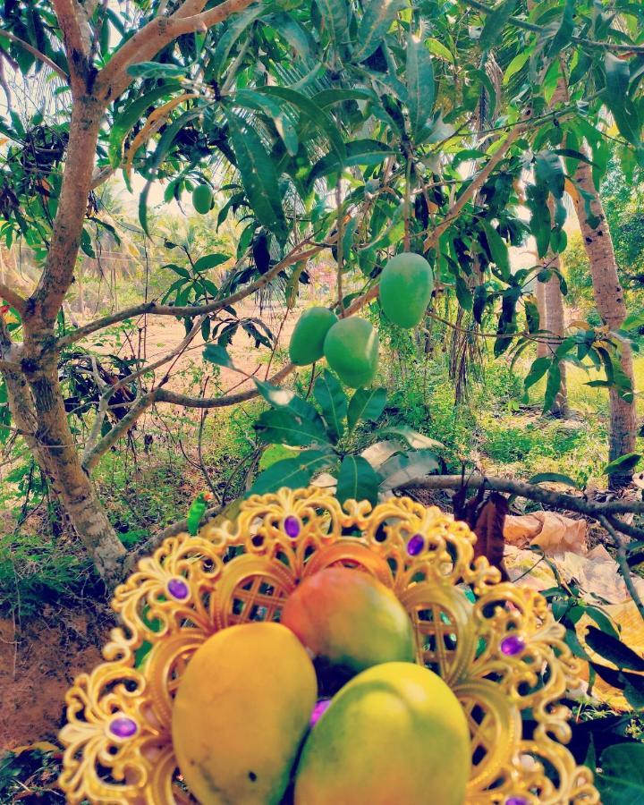 The Big Pineapple Estate Villa Udupi Extérieur photo