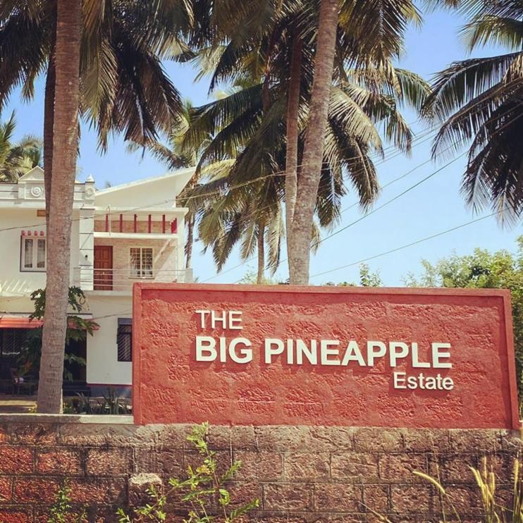 The Big Pineapple Estate Villa Udupi Extérieur photo